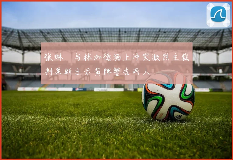 张琳芃与林加德场上冲突激烈主裁判果断出示黄牌警告两人