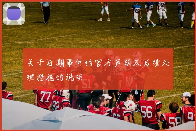 关于近期事件的官方声明及后续处理措施的说明