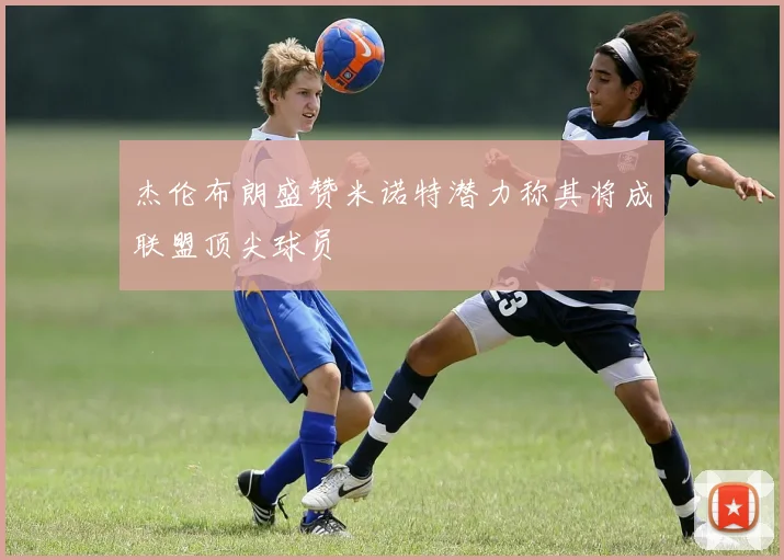 杰伦布朗盛赞米诺特潜力称其将成联盟顶尖球员