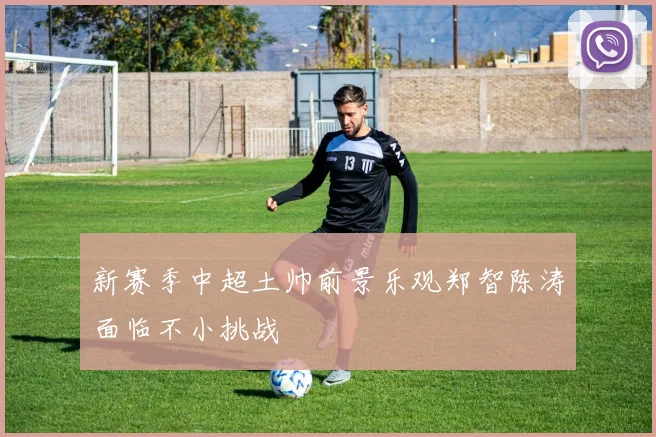 新赛季中超土帅前景乐观郑智陈涛面临不小挑战