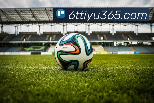 6T体育服务体系